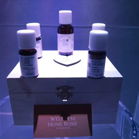 Wellness بيت ضيافة