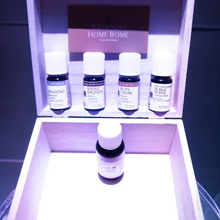 ゲストハウス Wellness